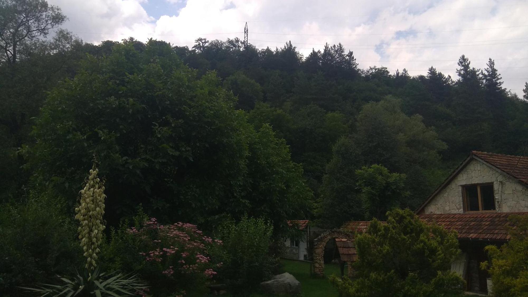 Eco Garden Bed & Breakfast Dilijan Luaran gambar