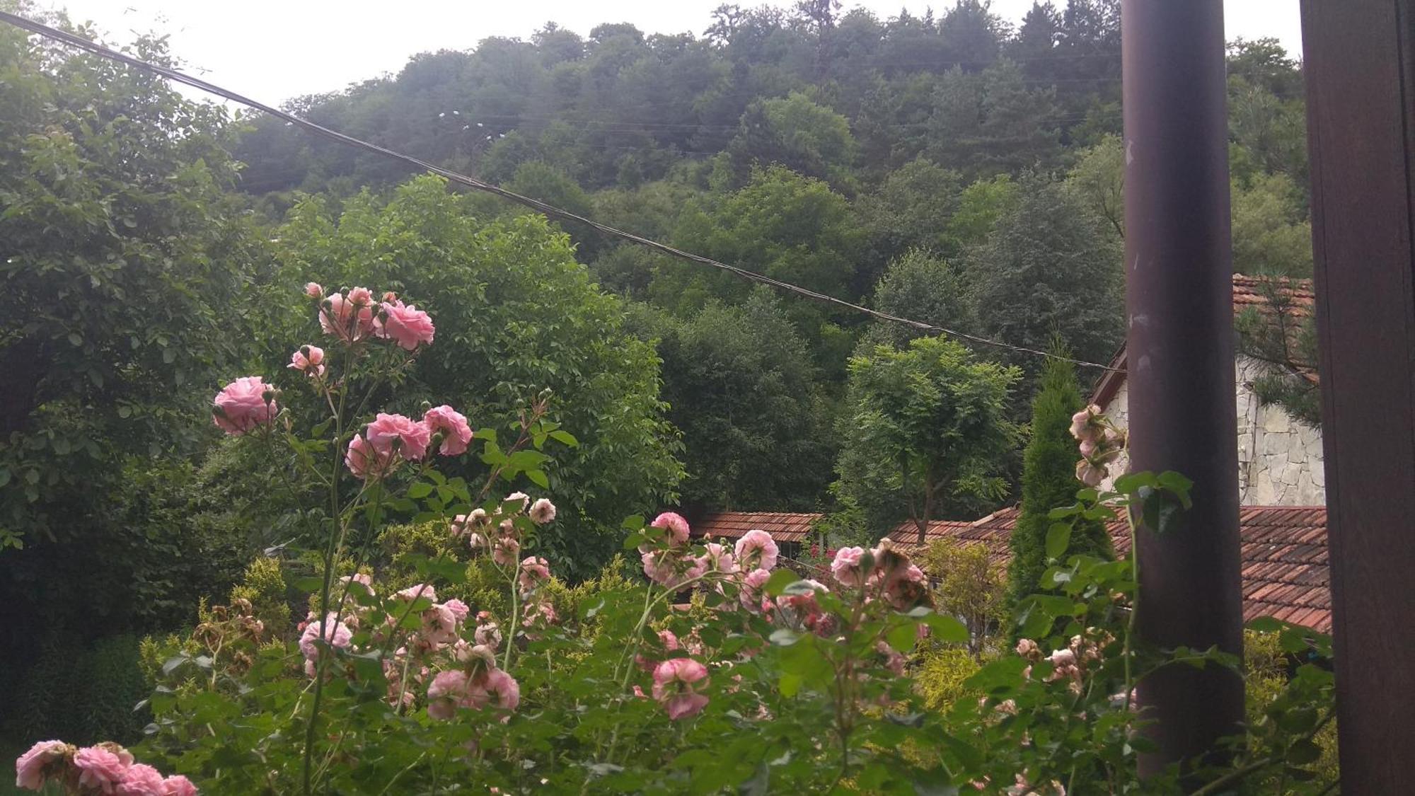 Eco Garden Bed & Breakfast Dilijan Luaran gambar