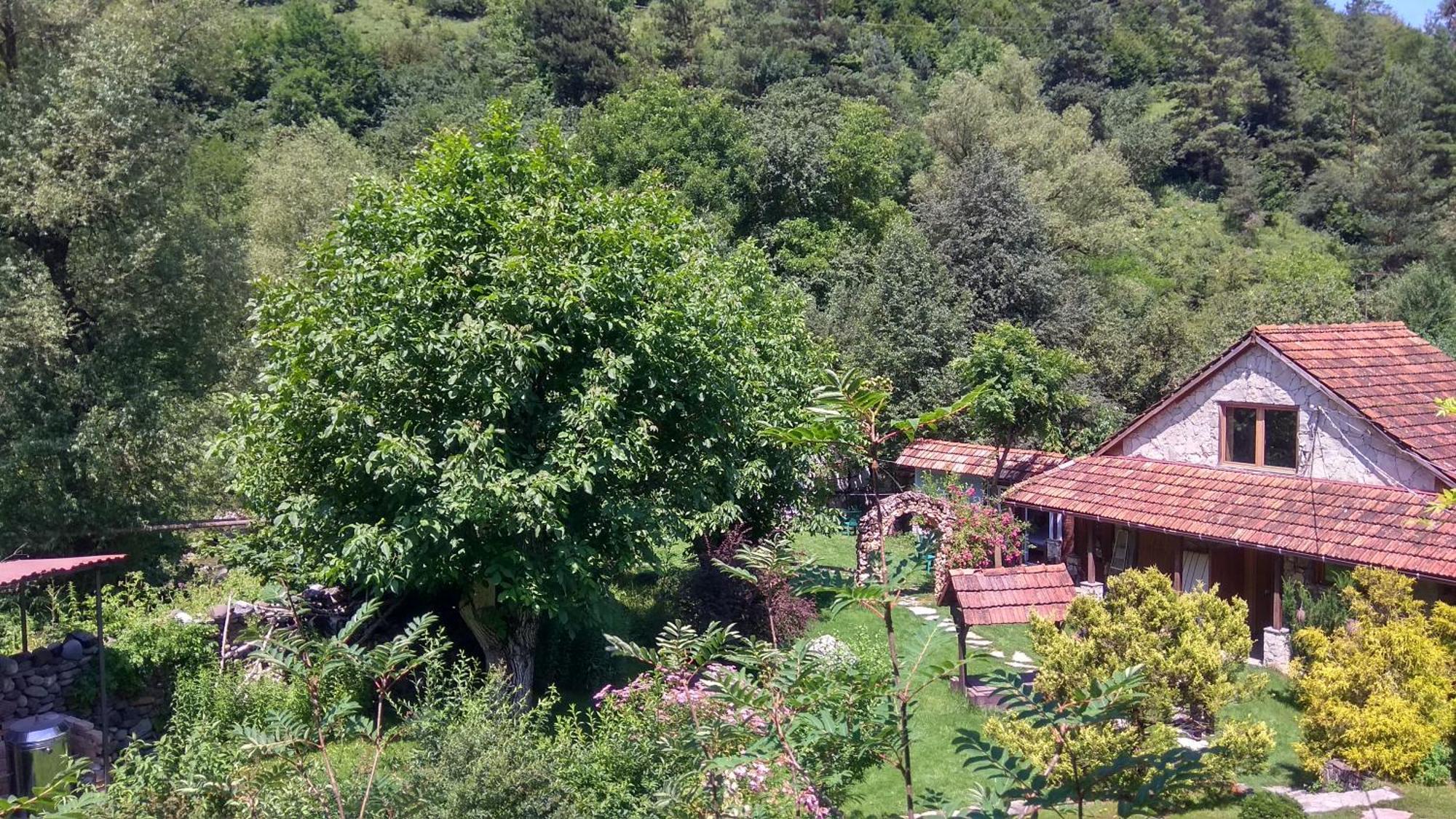 Eco Garden Bed & Breakfast Dilijan Luaran gambar